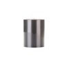 Zebra Image Lock Z5555 Resin printlint